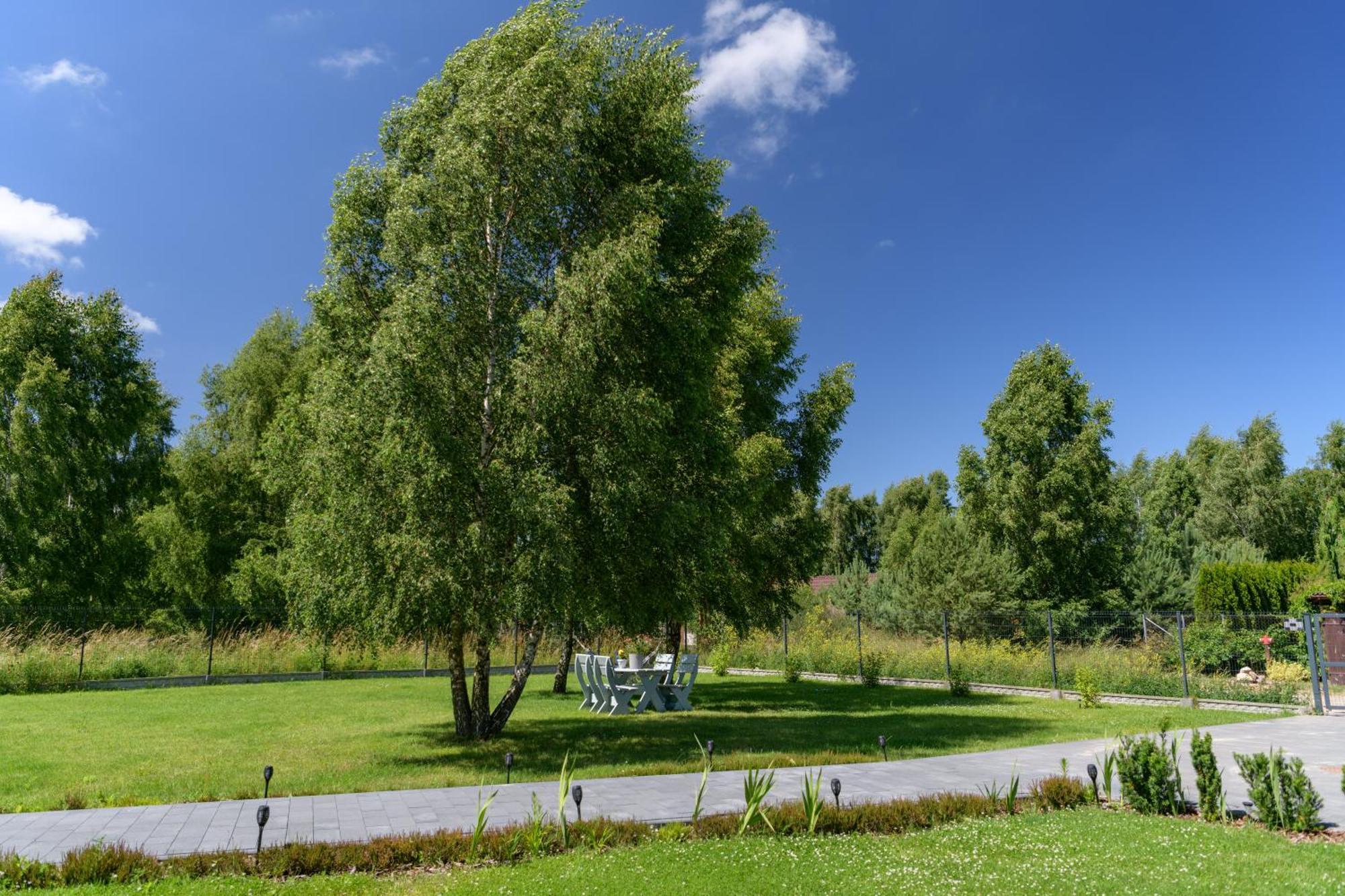Holiday home Przejrzysty *
